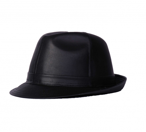 leather trilby hat