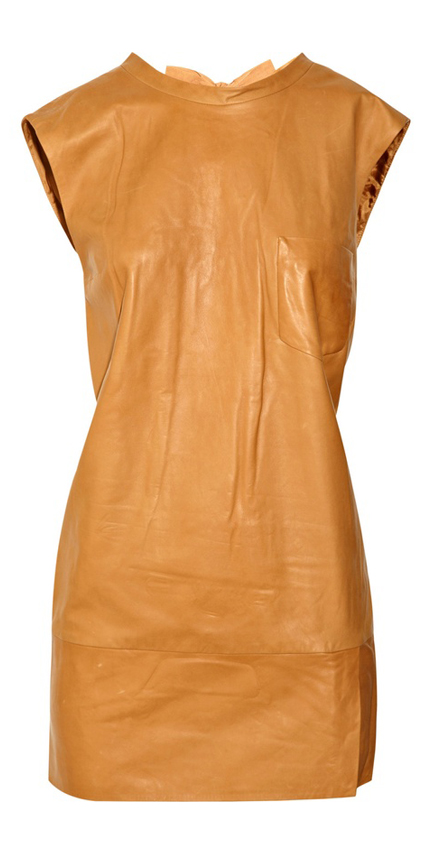 Frawne Leather Dress